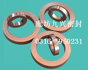 金屬包覆墊片、金屬包覆石墨墊片、河北大成包覆墊片、法蘭用墊片