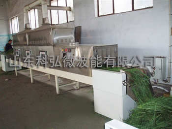 科弘微波大棗，葡萄干烘干殺菌設(shè)備