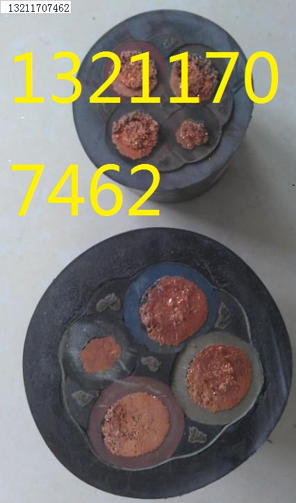 YZ-3*2.5+1橡套電纜