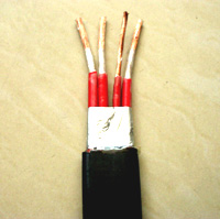 貴州計(jì)算機(jī)電纜DJYVRP，貴陽計(jì)算機(jī)電纜DJYVRP