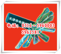 音頻通信電纜，HYV音頻電纜，HYA音頻電話電纜
