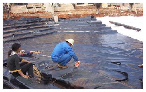 供應(yīng)建筑工程防滲用土工膜、防滲膜