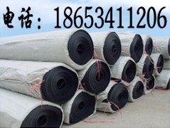 排水網(wǎng)、三維排水網(wǎng)、塑料排水網(wǎng)廠家