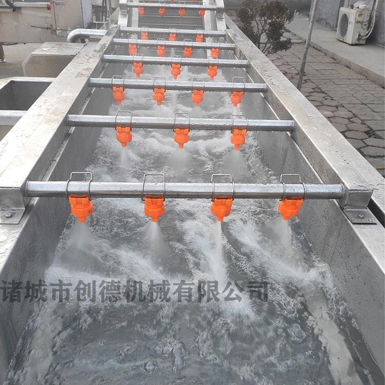 雪菜氣泡清洗機(jī) 桔子果蔬清洗機(jī) 洗菜機(jī)可定制