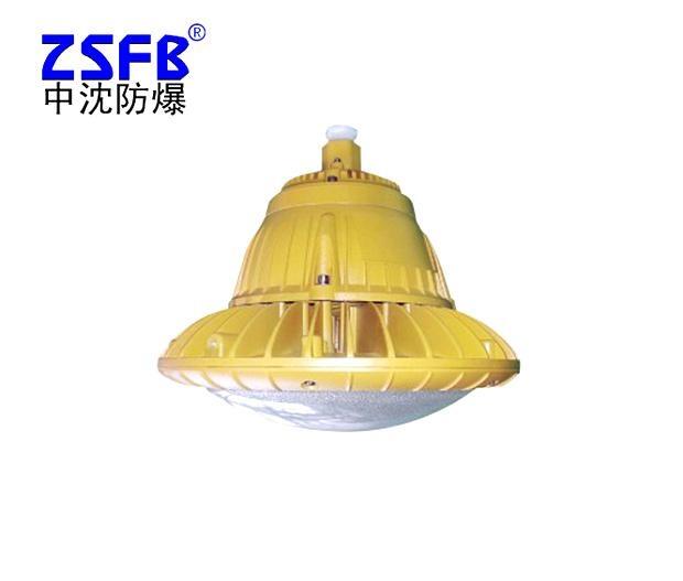 上海那里有防爆LED燈 25w30w40w50w60w70w80w防爆燈ip66