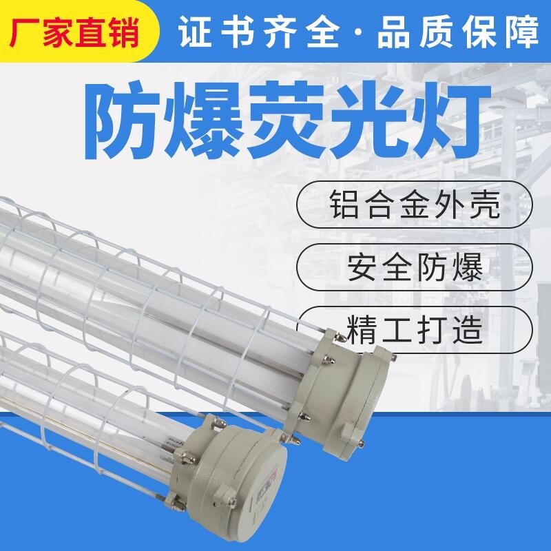 BPY系列隔爆型防爆熒光燈1*18W T8防爆日光燈單管雙管 倉(cāng)庫(kù)廠(chǎng)房國(guó)標(biāo)熒光燈2*18W