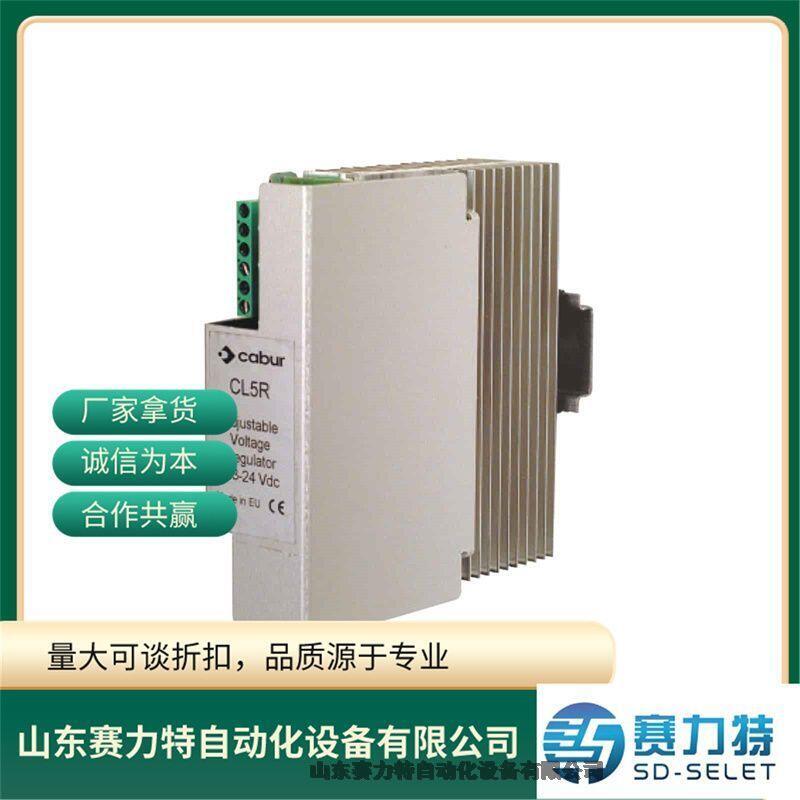 CELSA	DSA12-NS40/P1R-01