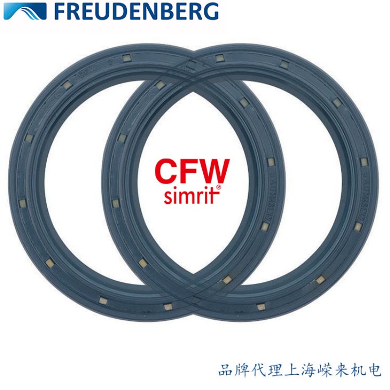 廣東骨架油封FREUCENBERG 光刻機(jī)、減帶機(jī)德國(guó)原裝進(jìn)口