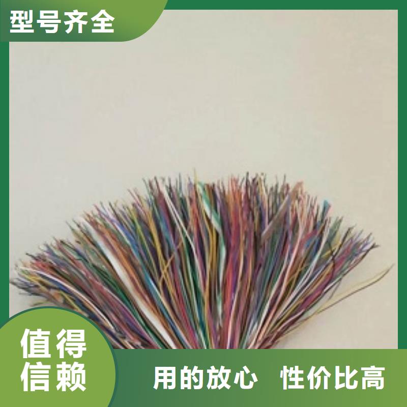 900*2*0.5電纜WDZC-HYAP23-
