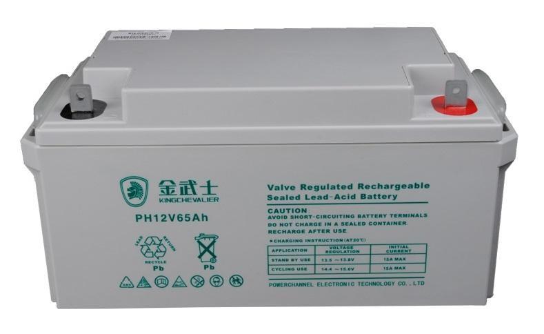 金武士蓄電池PW24-12.12v24ah正品保障