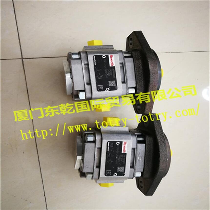 R900086163 PGF1-21 4,1RE01VU2X݆