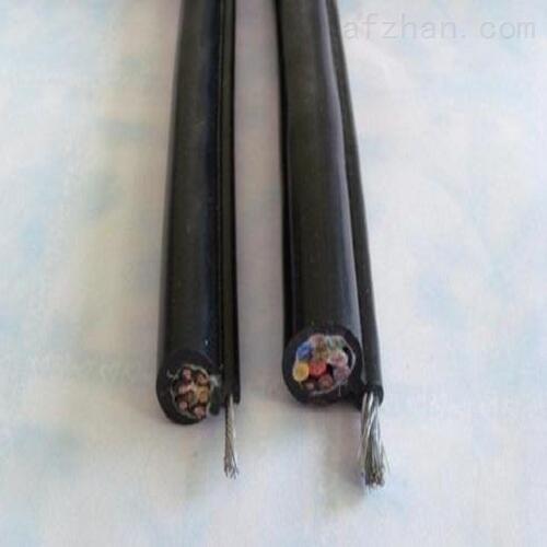 吊籃線(xiàn)TVR-2*1.5電動(dòng)葫蘆控制電纜廠家