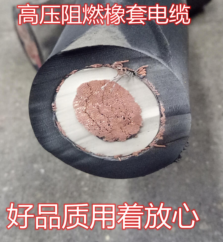 ZC-ERPF߉_P|