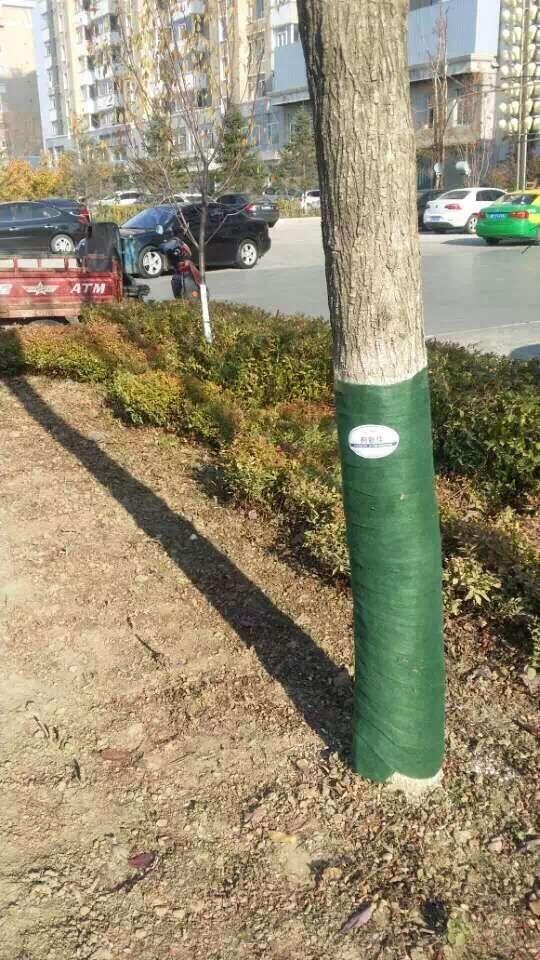天津雙層加厚加膜防寒毛氈