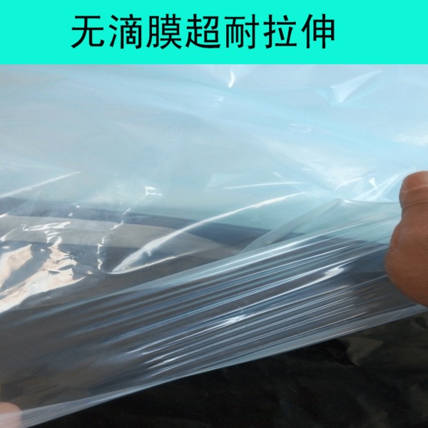 天津20米寬大棚膜廠家直銷