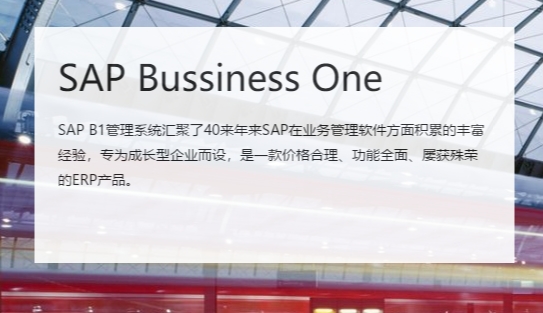 濟(jì)寧ERP 企業(yè)信息化軟件 華智SAP山東公司