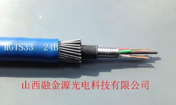MGTS33  24B V䓽zzb|