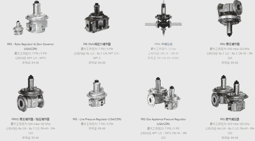 DUNGS冬斯閥門上海比吉電子授權(quán)代理全預(yù)混半噸