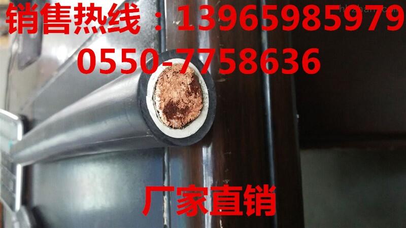 四川省FDZ-YEYH-1*16現(xiàn)貨供應(yīng)