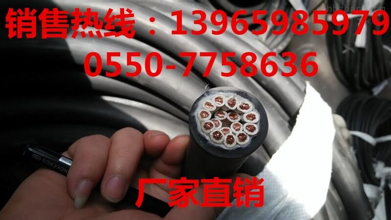 西藏FDEH-25-1*16客戶首選