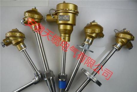 多點(diǎn)隔爆熱電偶WRN-440D 安徽天纜電氣有限公司
