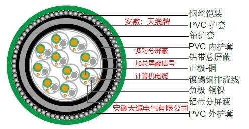 多對分屏蔽/總屏蔽加鎧裝加鉛護套熱電偶電纜/安徽天纜