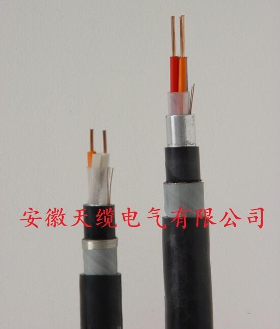 LEU·BSYL23LEU·BSYL23應(yīng)答器數(shù)據(jù)傳輸電纜 /安徽天纜供應(yīng)