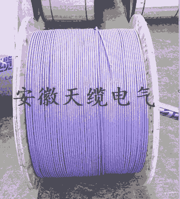 DP牌電纜雙層屏蔽DP電纜2*2*0.3安徽天纜電氣供應