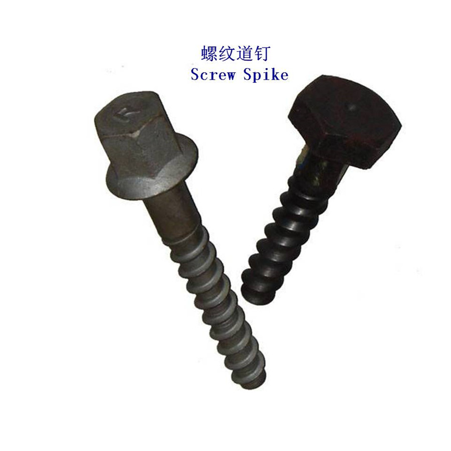 韓國Ss8螺紋道釘生產(chǎn)工廠