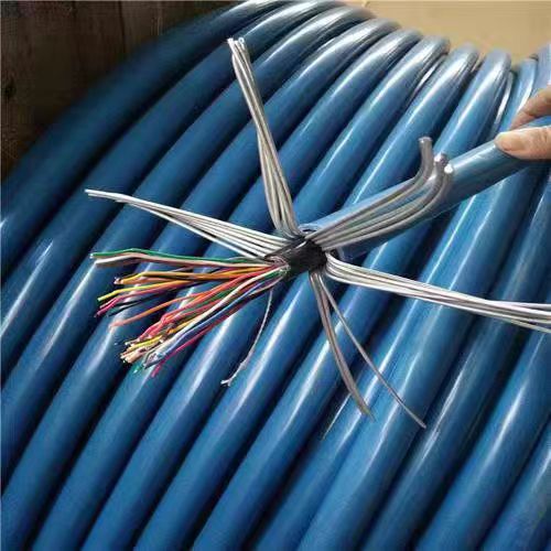 天聯(lián)ZRB-DJFPFP22-5*2*1.0電纜-30芯