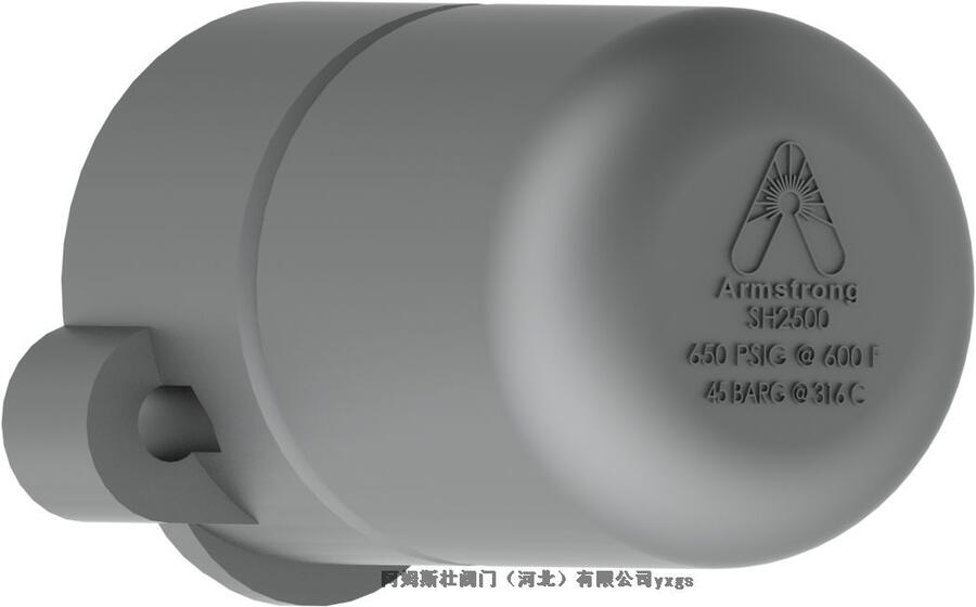 095-AP比例式安全閥巫山縣阿姆斯壯閥門（河北）有限公司