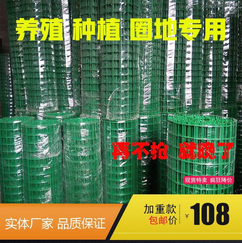浸塑電焊荷蘭網生產廠家養(yǎng)殖用低碳鋼絲電焊波浪網