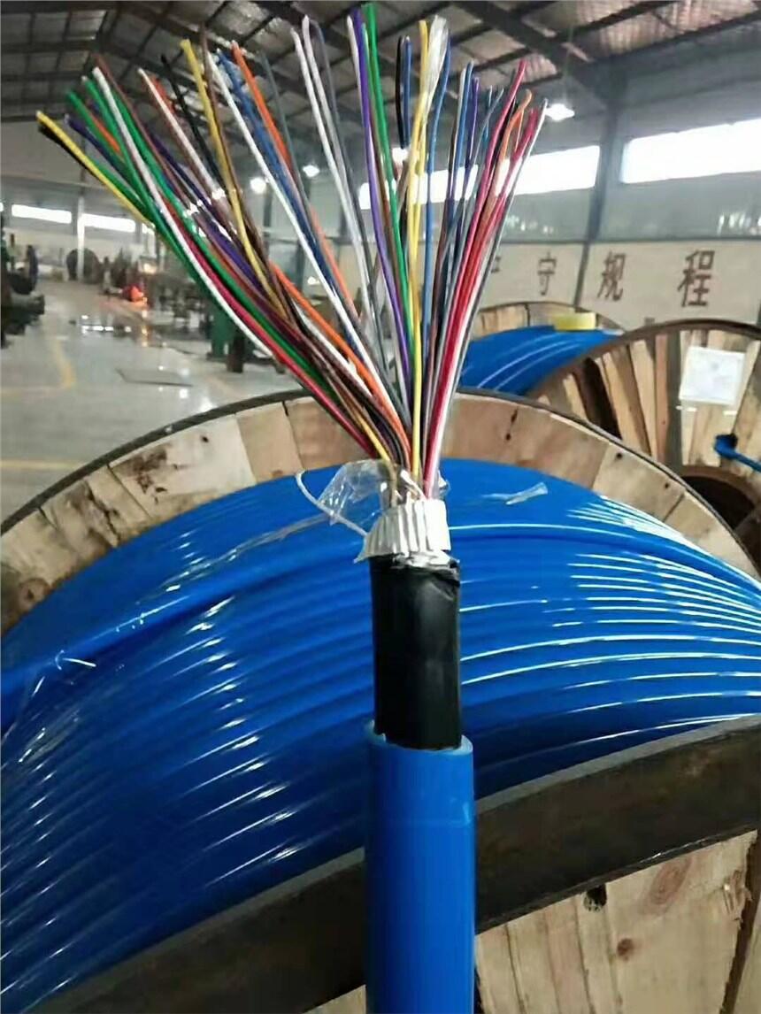 鎧裝網(wǎng)線(xiàn)HSGWP22\2X5L歡迎致電