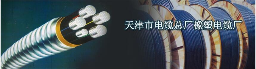 控制電纜ZR-KVVP2-22-1-4X2。5價格