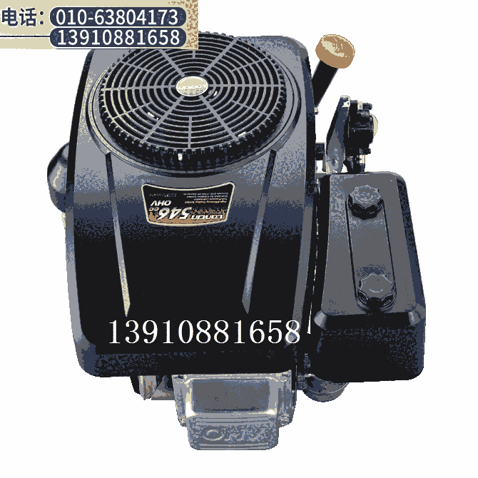 LC1P91隆鑫垂直軸汽油發(fā)動機 546CC隆鑫垂直軸發(fā)動機 10KW隆鑫發(fā)動機