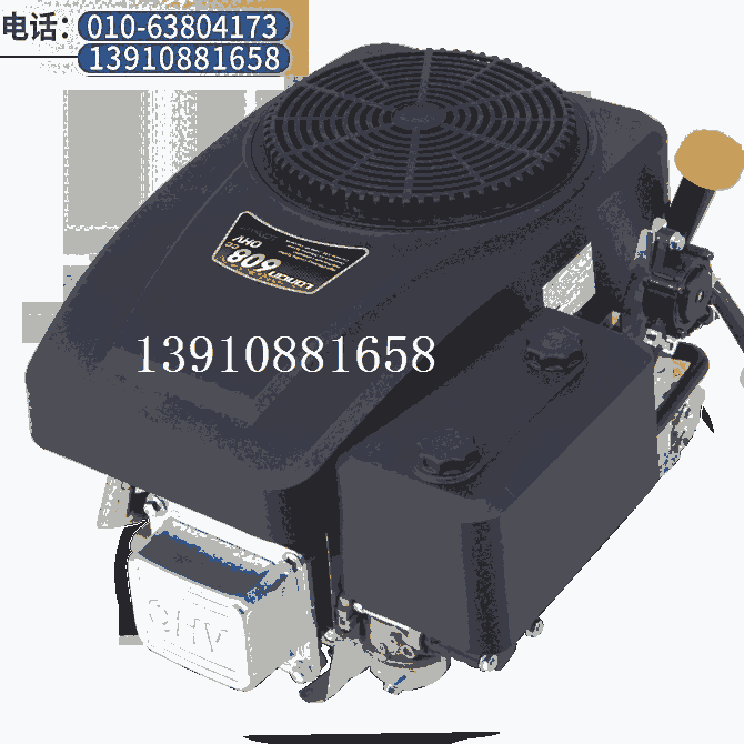 LC1P96隆鑫垂直軸汽油發(fā)動機608CC隆鑫垂直軸發(fā)動機隆鑫發(fā)動機