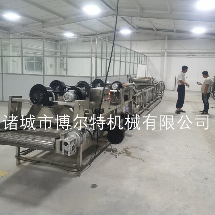 網(wǎng)帶式氣泡清洗流水線(xiàn) 果蔬清洗機(jī)廠(chǎng)家 全自動(dòng)蔬菜水果清洗機(jī)