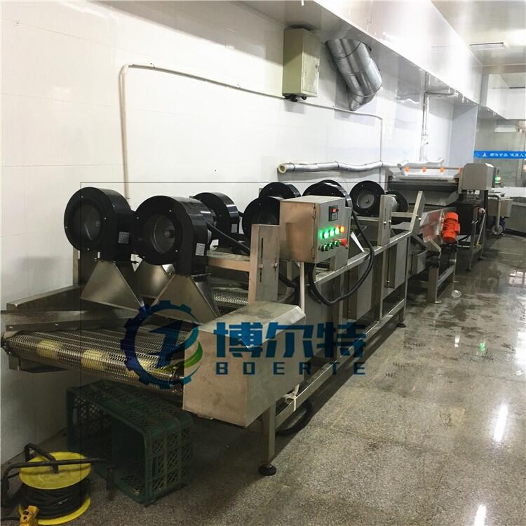 腌制黃瓜生產(chǎn)線 不銹鋼去泡脫鹽機(jī) 韓國(guó)泡菜加工設(shè)備