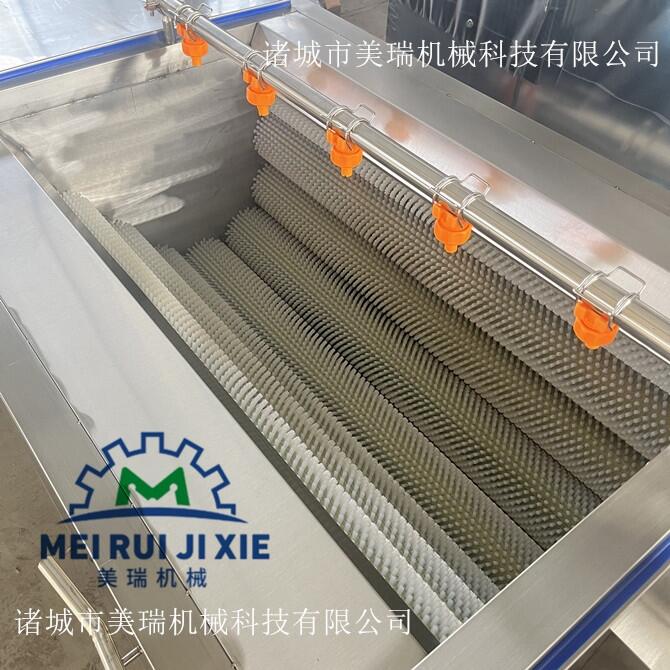 胡蘿卜毛輥清洗機 蓮藕山藥去皮清洗機 四川毛輥清洗機生產廠家