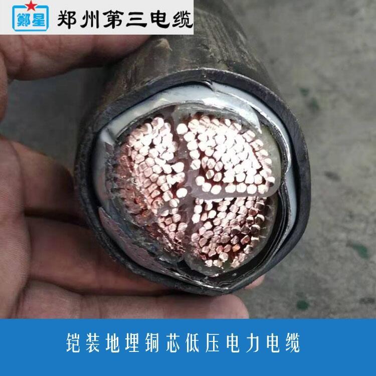 新鄉(xiāng)市ZC-YJV阻燃電纜三廠3芯4芯5芯電線16/25/35/50平方電纜廠家直銷(xiāo)