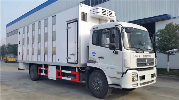 歐曼拉豬專用車有現(xiàn)車價格低