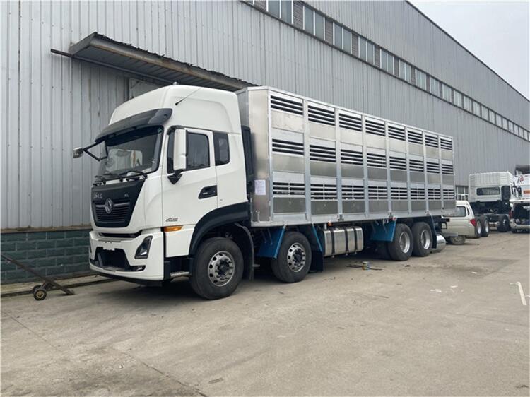 可以拉100頭的拉種豬的車每天報(bào)價(jià)