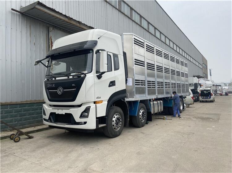 山西新推雞苗運(yùn)輸車銷售網(wǎng)點(diǎn)