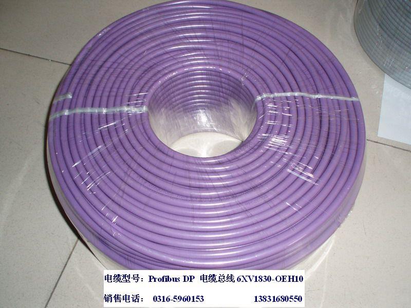 計(jì)算機(jī)電纜ZR-DJYVPR1*3*1.5介紹