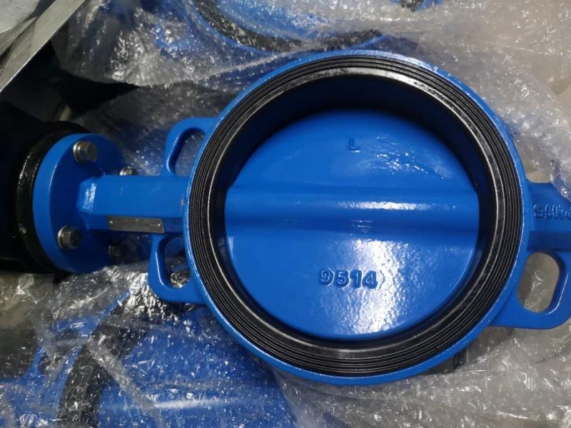 對(duì)夾式蝶閥W-W1111-G DN350渦輪蝶閥WATTS沃茨蝶閥原裝正品