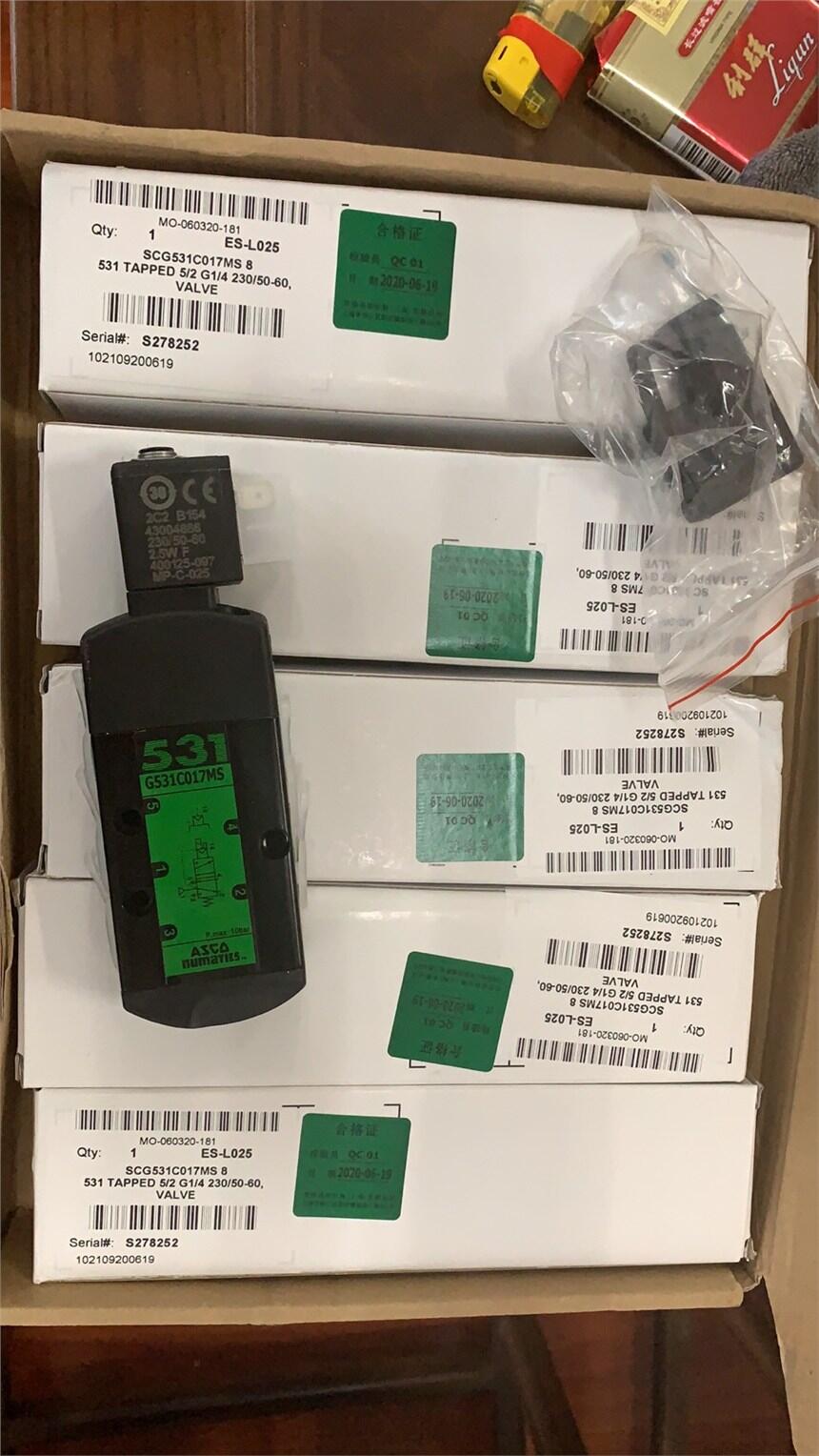ASCO늴ySCG531C018MS늴y (jng)