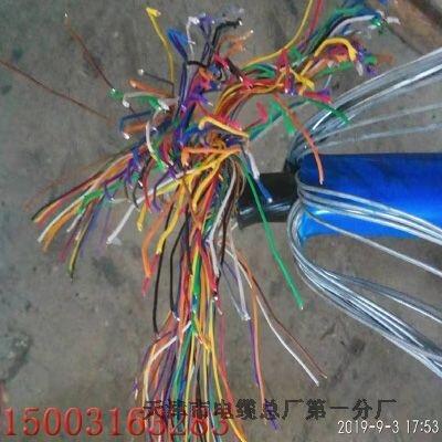 天聯(lián)牌MHYV 75-4 礦用通信電纜價格