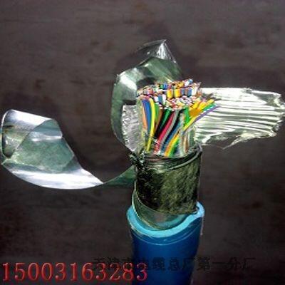 天聯(lián)牌MHYV 50-5礦用通信電纜價(jià)格