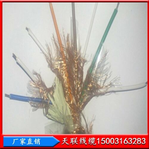 鋼絲鎧裝大對數(shù)礦用電纜天聯(lián)MHYVP20X2X0.5型號齊全，供貨及時