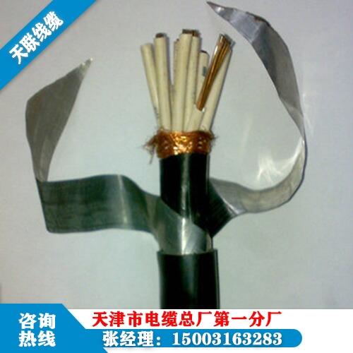 ͨ|HYA53-20X2X0.5L(zhng)ڹ؛M(fi)؛T